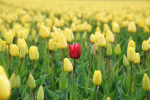 stand out from the crowd, positive energy, aura